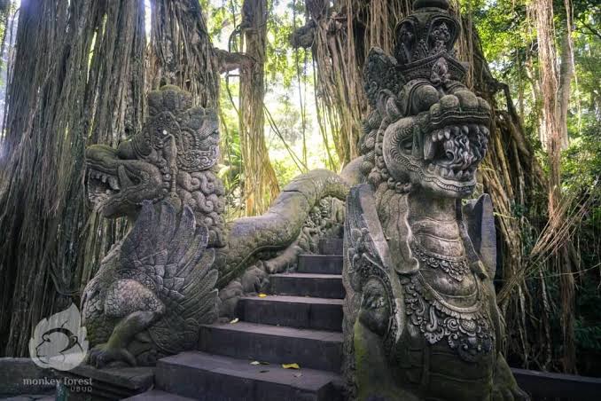 Sacred Monkey Forest Sanctuary