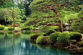 Calm Zen Lake And Bonzai Trees In Tokyo Garden Fototapeten Tapeten Photowall Mit Bildern Fototapete Tapeten Asiatischer Garten