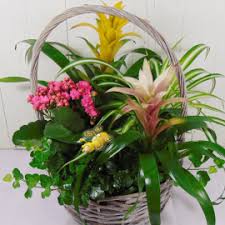 ¿sabías que enviar flores a domicilio está de moda? Floristeria En Villanueva De La Canada Envio Flores Villanueva De La Canada Floresnuevas Com