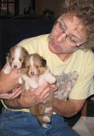 April Dunford Memorial Page