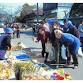 Gojome Morning Market: Mushroom Festival event in Gojome, Akita
