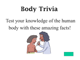 With games and activities you can find online, it's easy to learn all about taking care of your health and h. Body Trivia Test Your Knowledge Of The Human Body With These Amazing Facts Ppt Download