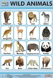 Wild Animals Chart In Delhi Delhi India Quixot Multimedia Pvt Ltd Wild Animals Pictures Wild Animals List List Of Animals