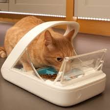 Some dogs love cat food. Awesome Dog Proof Cat Feeder Ideas