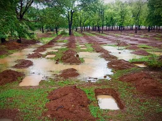 जल संचय जन भागीदारी अभियान के अंतर्गत बलौदाबाजार वनमण्डल द्वारा जल संरक्षण  एवं भू-जल पुनर्भरण की दिशा में बड़े स्तर पर कार्य किए जा रहे हैं ...