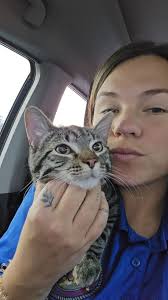 I know this is a longshot because it looks like it's been