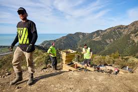 Bruce Ensor Builders Ltd added...