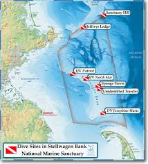 Visit Diving Stellwagen Bank National Marine Sanctuary