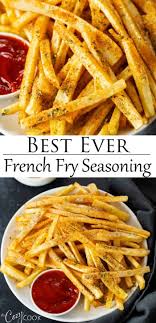 This Homemade French Fry Seasoning Recipe Can Be Used For Fresh Or Frozen Fries And Is So Easy T In 2020 French Fry Seasoning Homemade French Fries Frozen French Fries