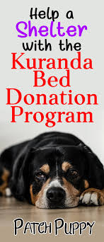 Pin On Dog Health And Safety