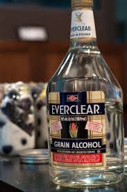 Plum Brandy Cooking With Michele Recipe Plums Brandy Everclear Moonshine Recipes