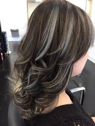 Metallic Highlights Gray Hair Highlights Blending Gray Hair Gray Highlights Brown Hair