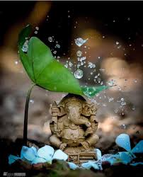 Attractive Photography Attractive Ganpati Images Hd Wallpaper Black And White Image May Contain Plant Night And Outdoor Lord Ganesha Paintings Lord Shiva Painting Ganesha Pictures