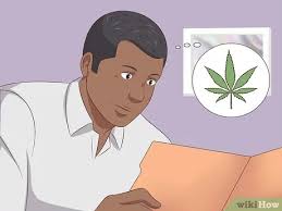 Wer bei sich zuhause cannabis anbauen will, soll laut guéniat dafür einen betrag von einigen hundert franken an den staat abliefern. Legal Cannabis Anbauen Wikihow