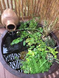 Stunning Water Features You Can Make In A Day Container Water Gardens Container Water Gardens Patio Pond Small Water Gardens