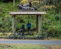 Immagine di Gortin Glen Forest Park