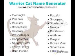 Let us know which is your favorite warrior names? Warrior Cat Name Generator Youtube