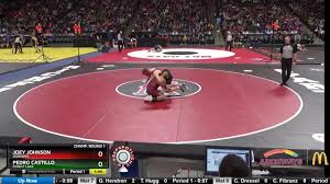 Pedro castillo, m.d., is an assistant professor in the department of internal medicine at ut southwestern medical center. Pedro Castillo Trackwrestling Profile