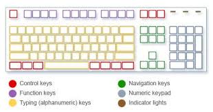 Using Your Keyboard Keyboard Elementary Computer Lab Math Worksheet