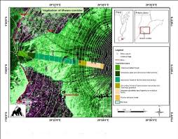 Image result for Vernonia kirungae