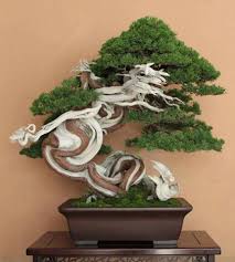 3 Valuable Cool Tips Artificial Flowers Fun Artificial Flowers Vase Artificial Grass Tags Artificial Plants Cheap Indoor Bonsai Tree Bonsai Tree Bonsai Plants