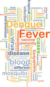 Healthy Tips To Fight Dengue Calorie Care