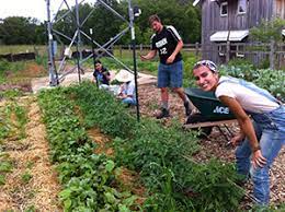 7 Places To Learn To Be A Farmer