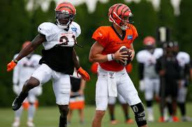 Experience cincinnati bengals football live. Yex90gkbyhfcxm