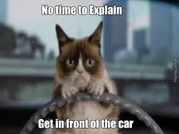 Find the newest funny grumpy cat memes meme. Grumpy Cat 032 Funny Cat Memes Cat Quotes Funny Cat Memes Clean
