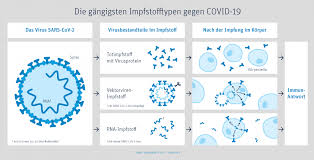 Für die volle wirkung werden. Impfungen Gegen Covid 19 Arten Von Impfstoffen Fopi