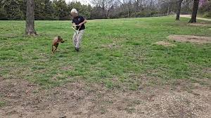 Bosun of Hermit Acres -...