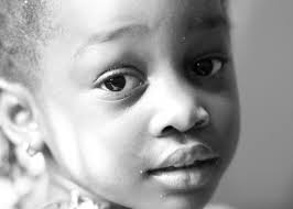 Whimsy Lens Photography