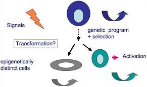 He has found himself in need of some amusement, and he, unfortunately, decided that you would be the one to. Meisterernst Lab