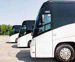 Take A Ride On Maritime Bus'S Most Popular Route! (Moncton, Nb To Halifax,  Ns By Bus) - Youtube