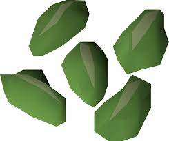 Vine Seed Osrs Wiki