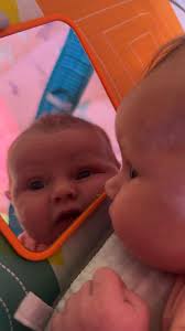 Should I try feeding a newly eclosed butterfly?