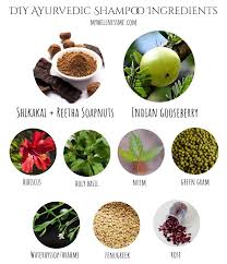 1 stinging nettle natural homemade shampoo for hair growth. Diy Ayurvedic Shampoo Recipe My Wellness Me