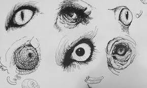 Pen Ink Drawing Tutorials How To Draw Realistic Animal Eyes Ink Pen Drawings Realistic Drawings Animal Drawings