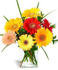 I realise just how much i need you when you're out of commission. Get Well Flowers For The Road To Recovery Schaaf Floral