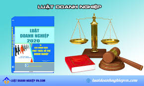 Doanh nghiệp tư nhân là doanh nghiệp do một cá nhân làm chủ sở hữu và tự chịu trách nhiệm hoàn toàn bằng toàn bộ tài sản của mình về mọi hoạt động kinh doanh của doanh nghiệp. Luáº­t Doanh Nghiá»‡p La Gi Dá»‹ch Vá»¥ TÆ° Váº¥n Luáº­t Doanh Nghiá»‡p Uy Tin