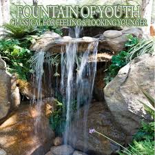 The pool into which the water falls and the cascading structure for the waterfall itself. Outdoor Corner Fountains Ideas On Foter
