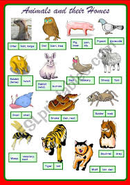 Poster On Animals And Their Homes Cheers Animals And Their Homes List Of Animals Animals