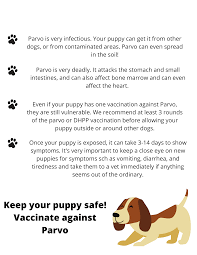 Parvovirus In Dogs In Dallas-Fort Worth | Low Cost Pet Vaccinations