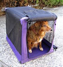 Crate Training Wikipedia