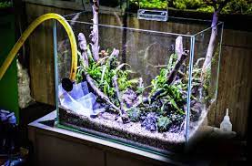 Hardscape aquascape umumnya terdiri dari kayu dan batu. 12 Cara Membuat Aquascape Sederhana Untuk Pemula Lengkap Beserta Gambarnya Hobinatang