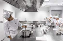 Descubre El Grado En Gastronomia De Basque Culinary Center