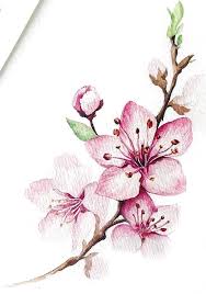 Basicflowersdrawing Bigflowersdrawing Flowersdrawinggirl Flow Blumen Malen Blumen Zeichnung Blumen Zeichnen