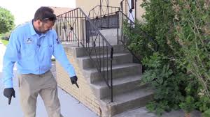 We offer pest control services throughout chicago and the surrounding suburbs. Mice Ant Control Chicago