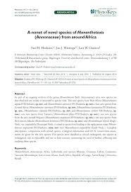 Image result for Monanthotaxis trichantha