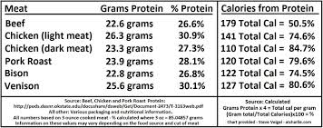 understanding protein how much your dog needs find